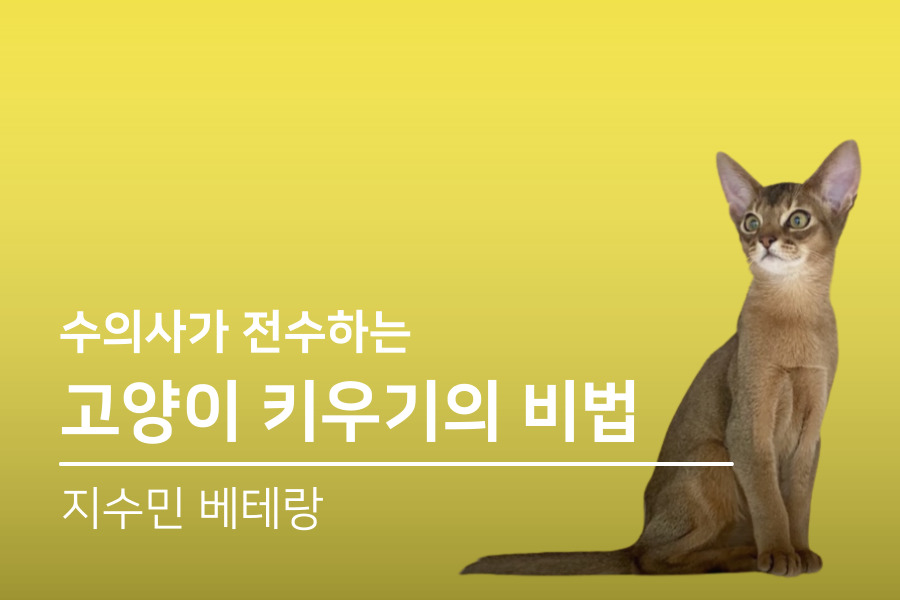 강의 대표이미지